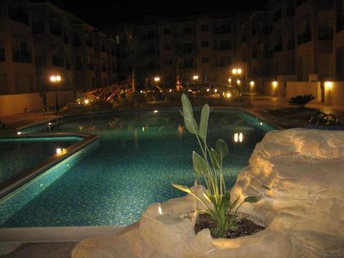 Johnny's Place paphos 5
