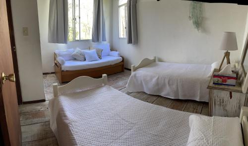 Chalet en punta del este in Marly