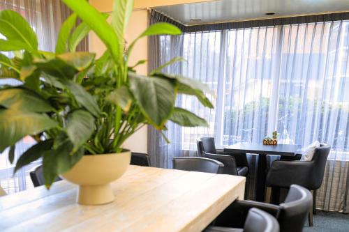 酒吧/高級酒吧, 伯格博思酒店 (Hotel Berg en Bos) in 阿培爾頓