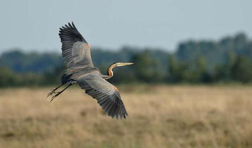 Gîte de Marsinne - Le Moulin