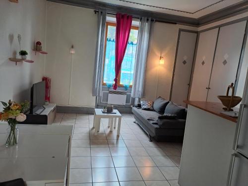 Appartement de montagne - Location saisonnière - La Mure