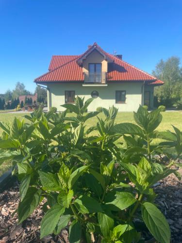 Pogodna Zagroda-Dom na Kaszubach & Strefa Spa