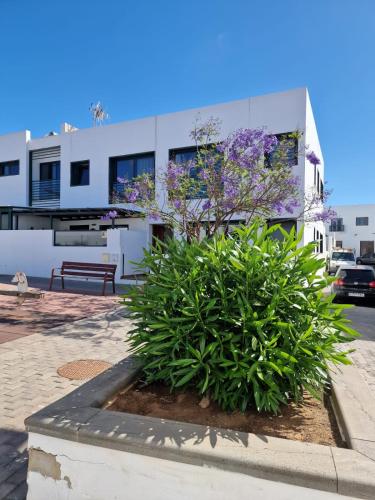Apartamento Margarita 2