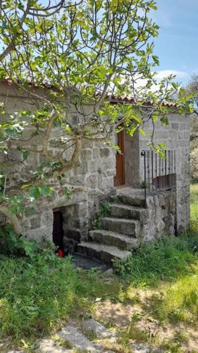 Bergerie en pierres et oliveraie cottage Nota