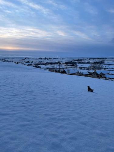 Apkārtne, Cosy Cottage near Brimham Rocks Yorkshire Dales in Fellbeck