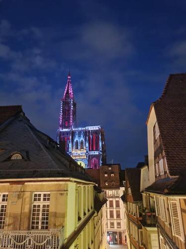Appartement plein centre avec vue exceptionnelle cathédrale, Strasbourg (photo 8)