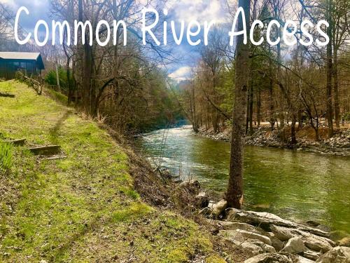 River Dreaming - image 7