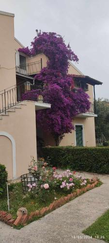 Classy & Traditional House with Fantastic View