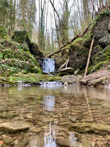 رياضة و نشاطات, Retour aux Sources in Hastiere Lavaux