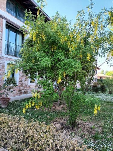 Monticello Lovely Apartment with Garden