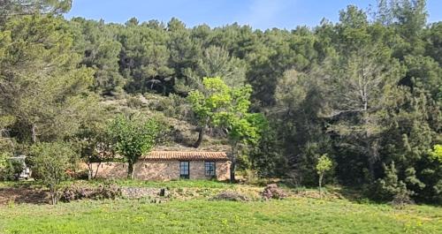 Cabanon provençal - Location saisonnière - Villecroze