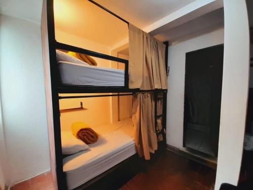 Bunk Bed in Mixed Dormitory Room image 10