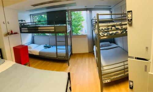 Habitación compartida, mixta, 7 personas