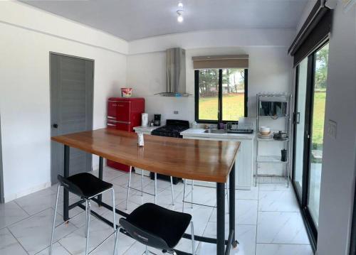 virtuve, Acogedor apartamento con amplio patio - The Goat Spot - planta baja in Alto Boquete
