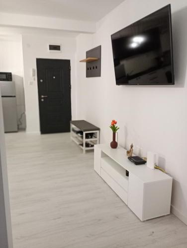 Apartament Central