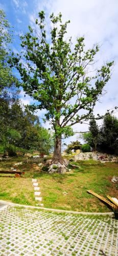 razgled, Cueva les Pedroses in El Carmen
