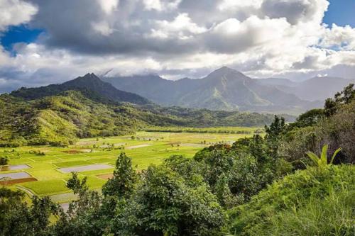 Luxury Princeville Retreat - Sleeps 16 Views, Golf & More