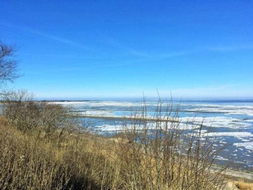 Pleasant apartment in Insel Poel