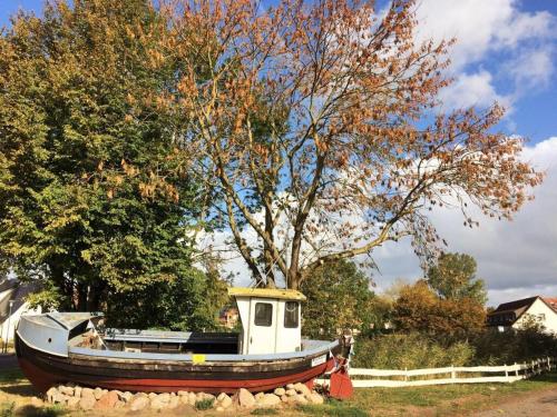 Pleasant apartment in Insel Poel