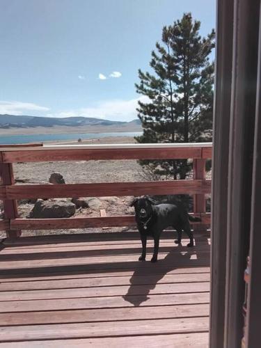 The Bighorn Cabin at Elevenmile Canyon Reservoir in Lake George, USA