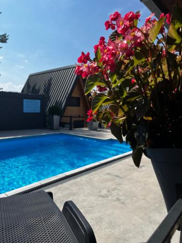 Úszómedence, Cool House and Pool, Banja Vrujci in Popadić