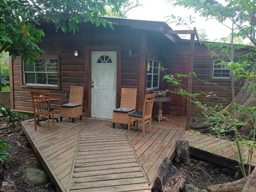 . cabaña en la selva