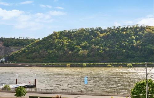 Skats, Rheinblick in Kaub