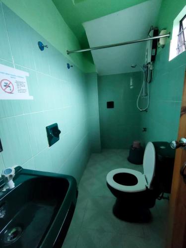 Shamrock Tavern Shamrock Tavern