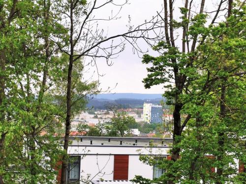 BohnApartments - Stadtblick Zechenhaus - Balkon - gratis Parkplatz - WLAN - sehr ruhig - barrierearm