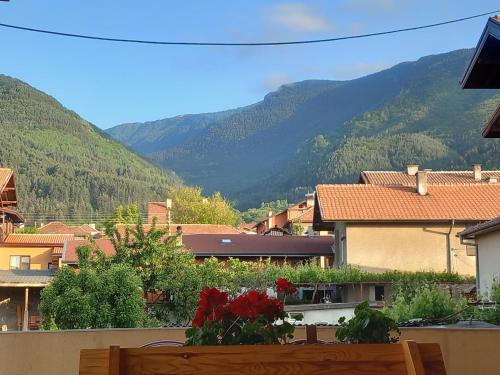 ViBo Guesthouse in Sapareva Banya