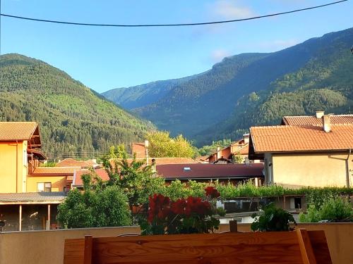 ViBo Guesthouse in Sapareva Banya
