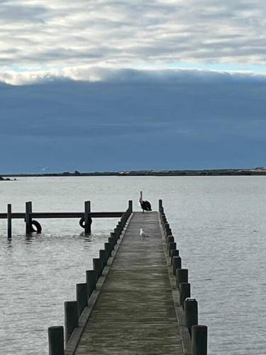 Pelicans Rest - Experience a Waterfront Beach Retreat, Pet Friendly