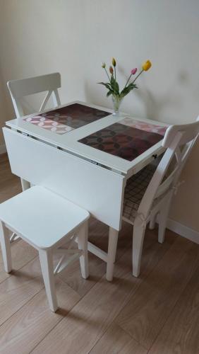 Apartamentai Gertruda in 德魯斯金卡