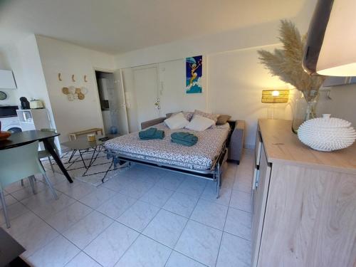 Studio Montrose Cannes - Axelle Loc'Appart