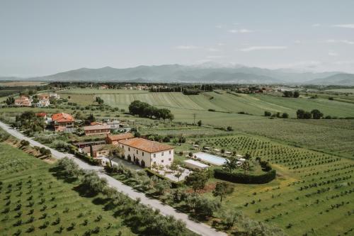 Podere Il Belvedere su Cortona