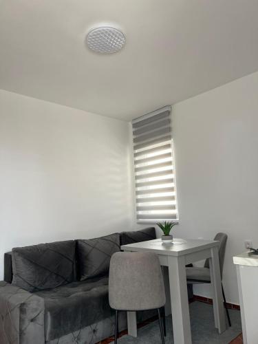 One-Bedroom Apartment image 10