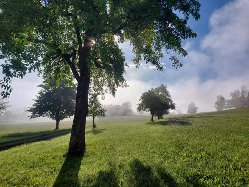 景觀, Chalet Troadkasten Biohof Kreilgut in 福德爾施托德爾
