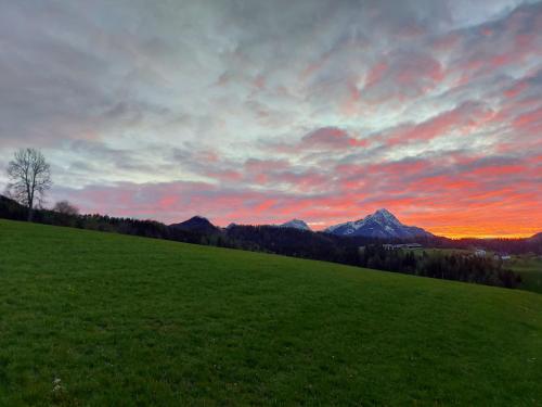 景觀, Chalet Troadkasten Biohof Kreilgut in 福德爾施托德爾