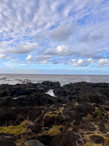 Logement CHANDELLE in Sainte Rose