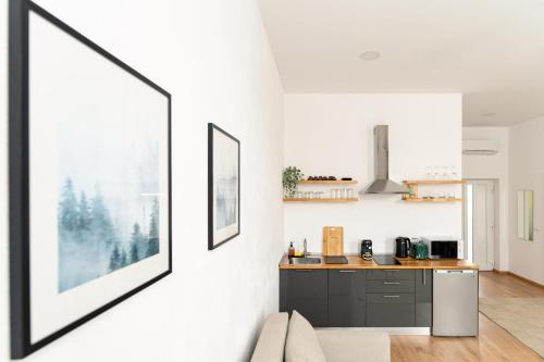 Urban Six Apartments in Şoarş