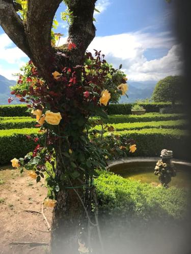 Villa Paradiso,stunning views ac heated pool