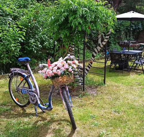 WILLA RETRO Hostel & Garden, Kraków