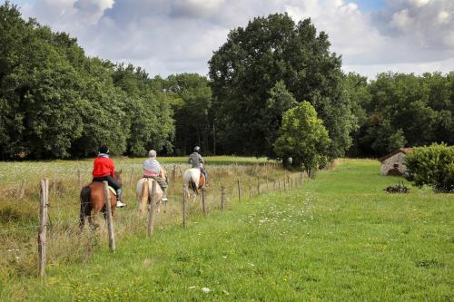 Gîte Mara des Bois - Pour 5-6 personnes - Idéalement situé pour visiter le Lot-et-Garonne - Piscine, grand jardin, terrasse avec barbecue