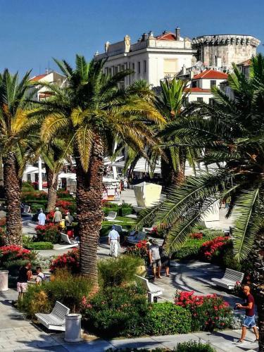 Island View Apartment, Split (photo 3)