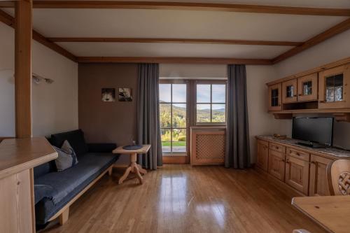 Deluxe One-Bedroom Apartment