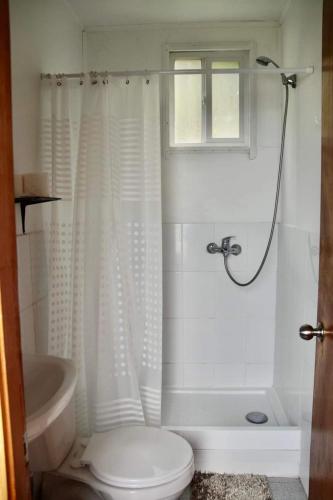 Aikus in ปูเยอวย