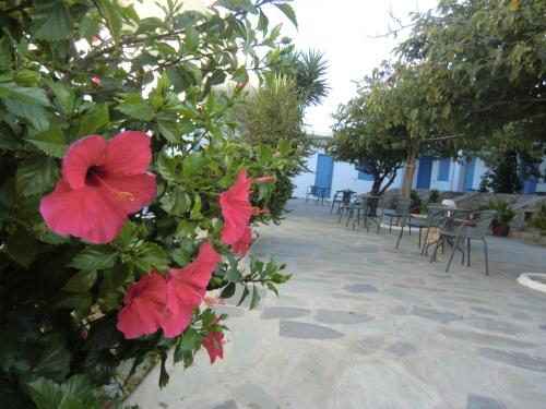 Mykonos Vouniotis Rooms - image 4