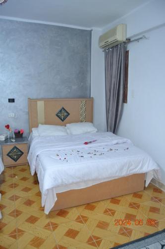 Pyramids live in apartment - image 8