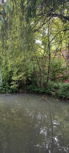 AMOJ B&B and Guest house - image 2