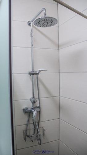 Ferienwohnung-Franziska-Wuensche-Wohnung-1 - image 5